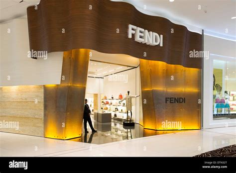 fendi dubai mall of emirates store al barsha 1 photos|Boutique FENDI Dubai Mall Of The Emirates Dubai.